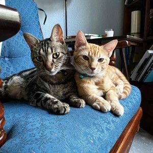 Meet your Posher, Melanie